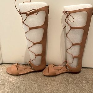 Michael Kors Sofia Gladiator Sandals